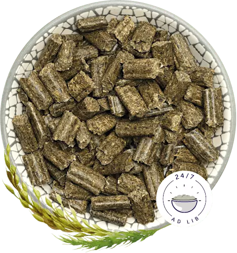 Bunny Nature – RabbitDream – Young 1.5kg