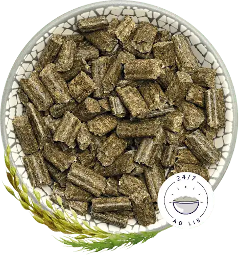 Bunny Nature – RabbitDream – Young 1.5kg