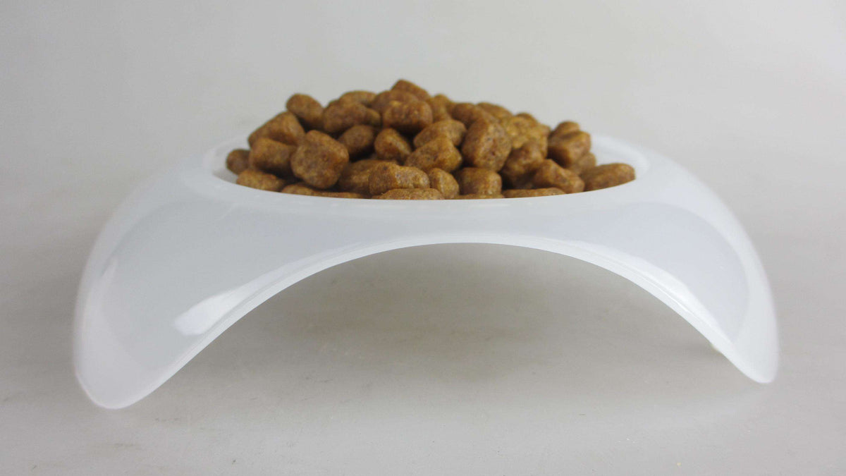 Smartcat Shallow Cat Food Dish - Large