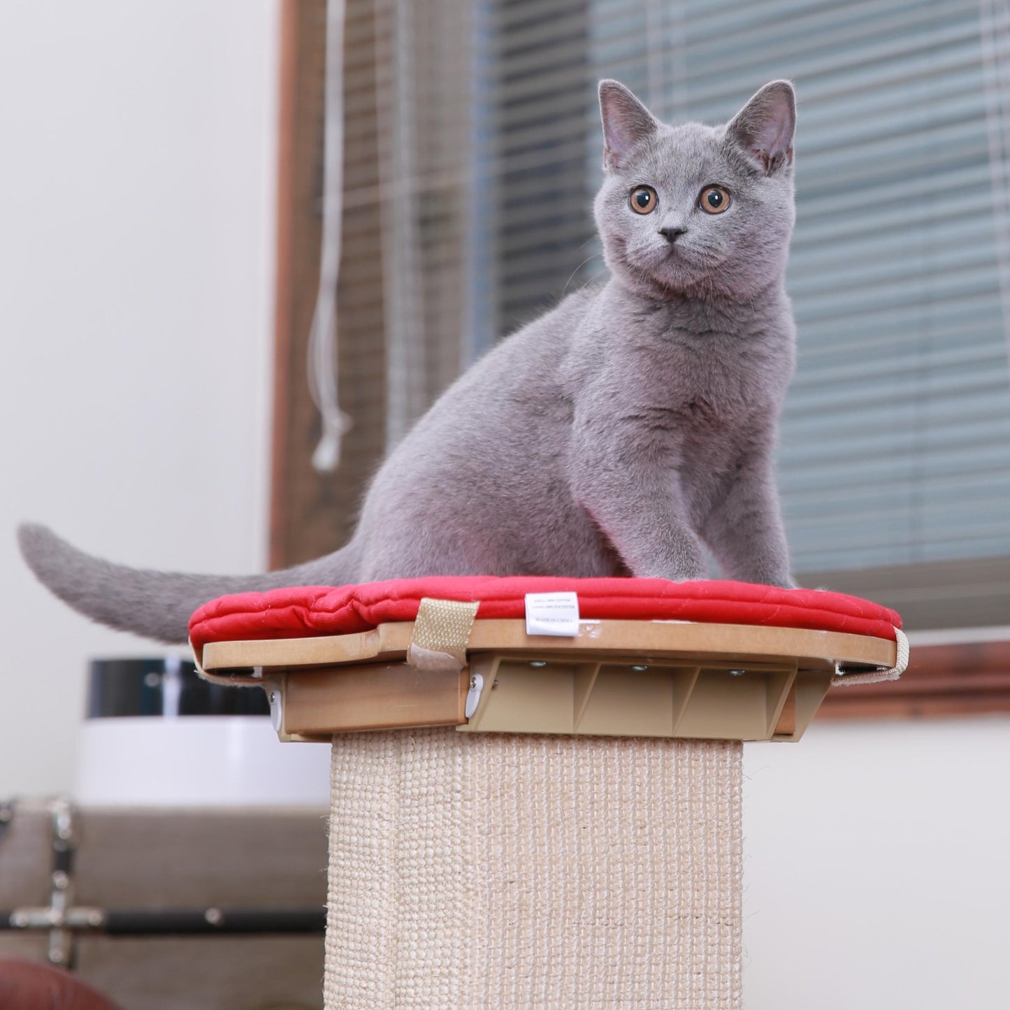 Perch Seat For Smartcat Ultimate Smart Cat Scratch Sisal Post