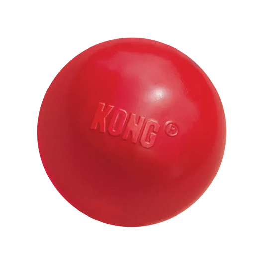 Kong Ball With Hole Large