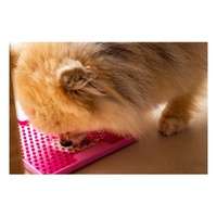 Lickimat Mini Soother Slow Food Bowl Anti-Anxiety Mat for Dogs