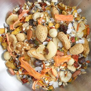 Birdzone – Macaw Blend