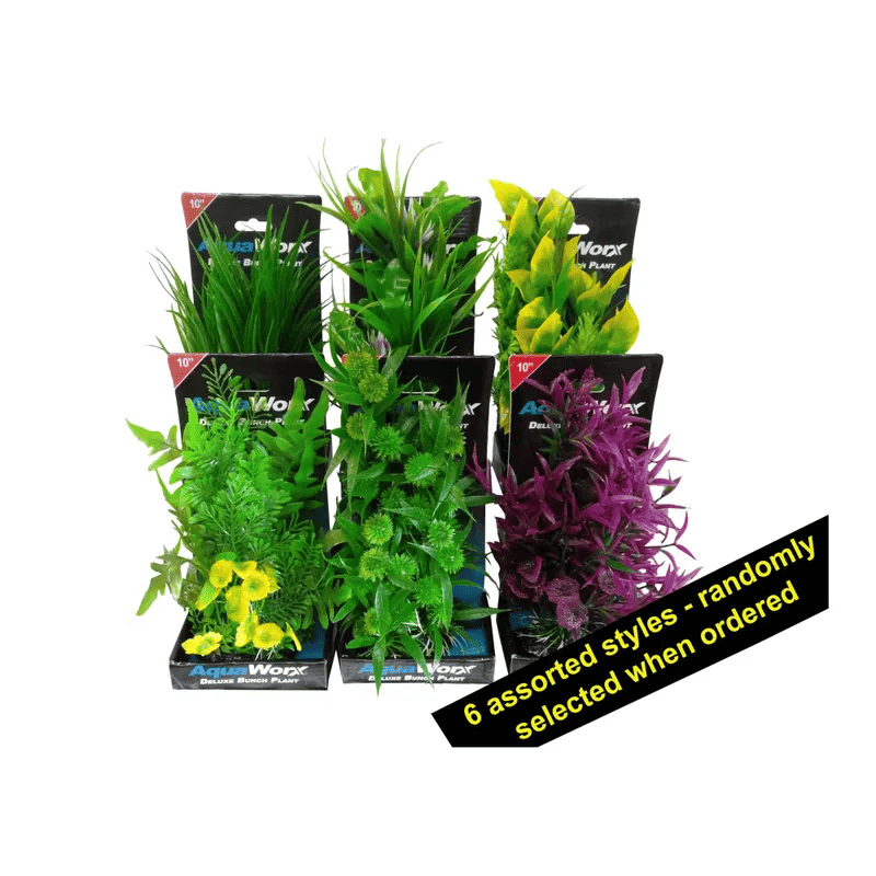 Boyu Deluxe Bunch Plant 10 Inch