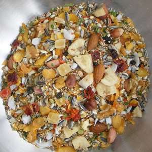 Birdzone – Medium Parrot Blend