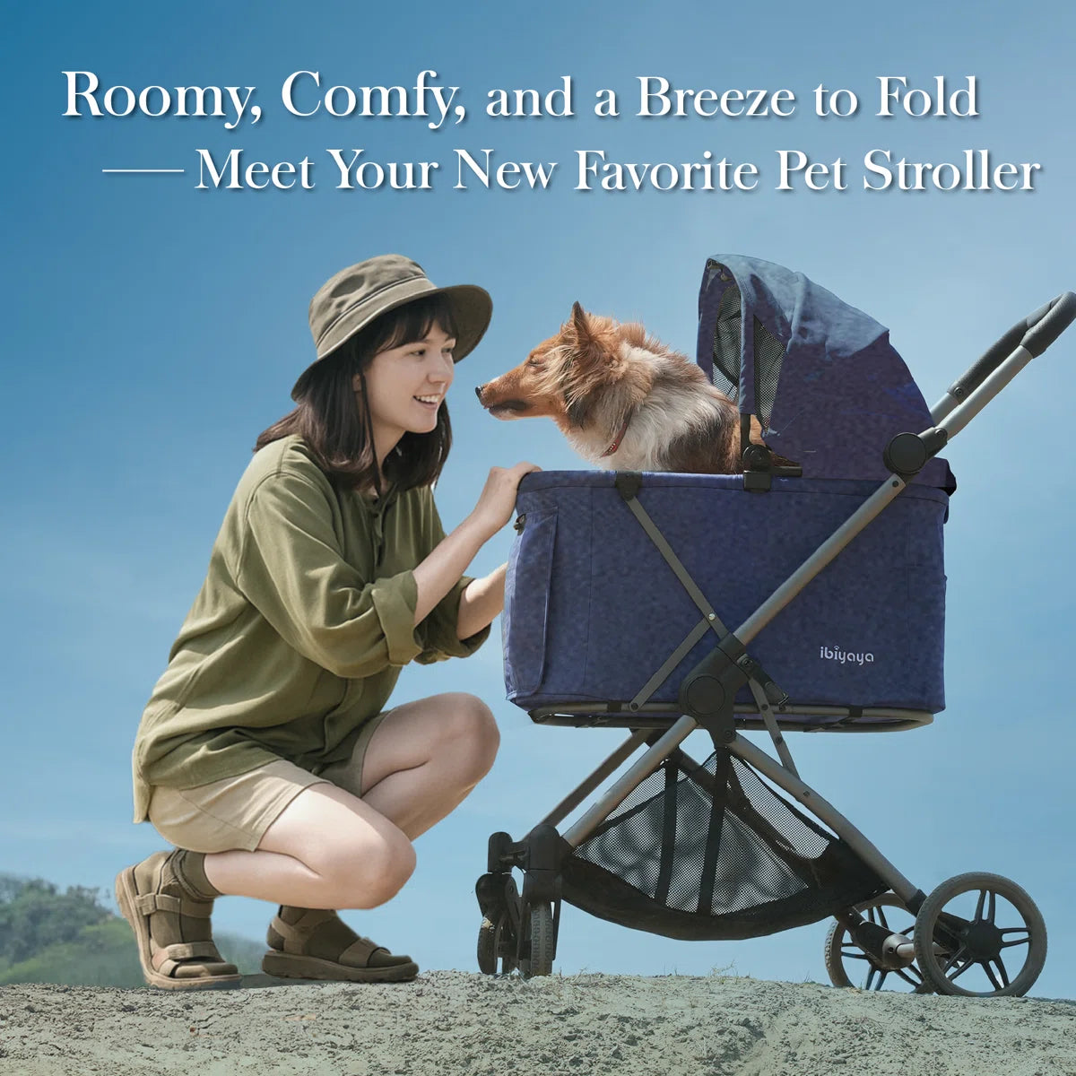 Ibiyaya Maxi Deep Carriage Pet Stroller - Royal Blue