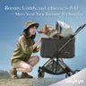 Ibiyaya Maxi Deep Carriage Pet Stroller - Grey