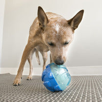 KONG Rewards Ball Interactive Treat Dispening Dog Toy