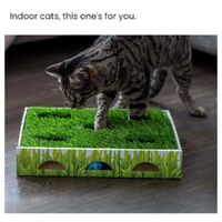 Petstages Grass Patch Hunting Box Interactive Cat Toy with Faux Grass
