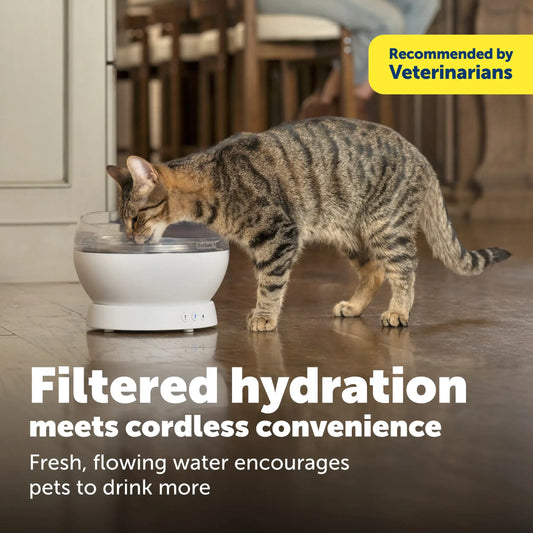 PetSafe – HydroSphere 1.7L Cordless Fountain - Encourages pets to drink more with quietly flowing water