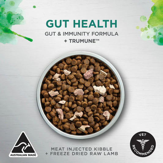 Ivory Coat – Adult Dog – Raw Health – Gut Health 1.8kg