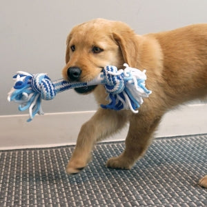 KONG - Puppy - Rope Stick - Medium