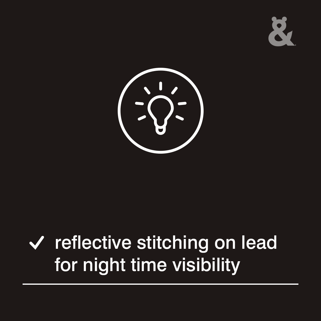 Rufus & Coco Retractable Dog Lead