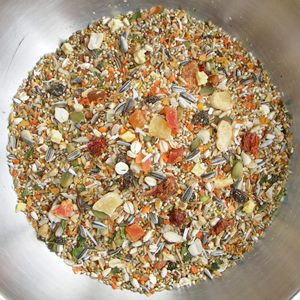 Birdzone – Small Parrot Blend