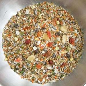 Birdzone – Small Parrot Blend