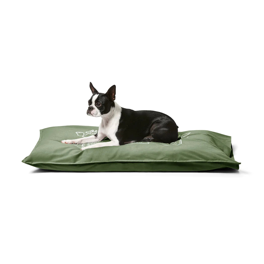 Snooza – Cotton Canvas Pet Futon – Fern