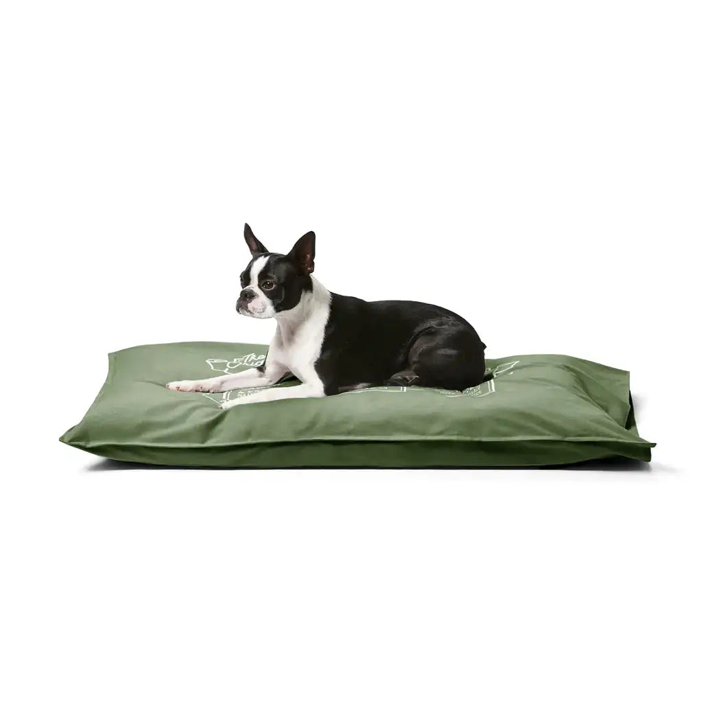 Snooza – Cotton Canvas Pet Futon – Fern