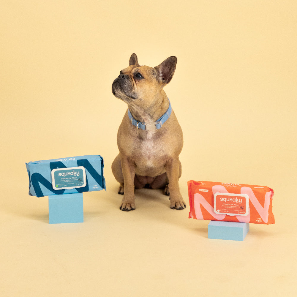 Squeaky Pet Probiotic Pet Wipes Fresh & Zesty 20 Wipes