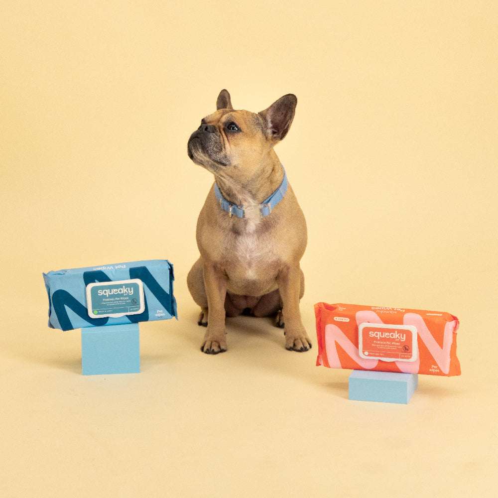 Squeaky Pet Probiotic Pet Wipes Fresh & Zesty 20 Wipes