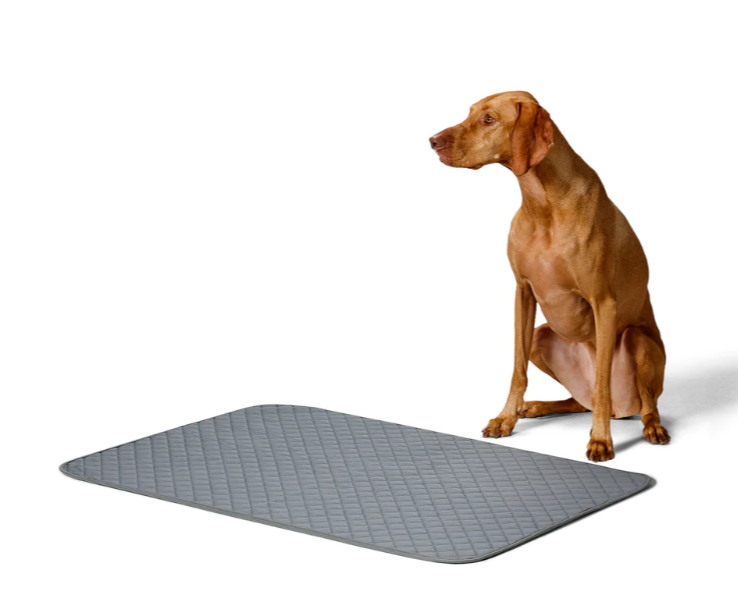 Snooza – Washable Pee Pad