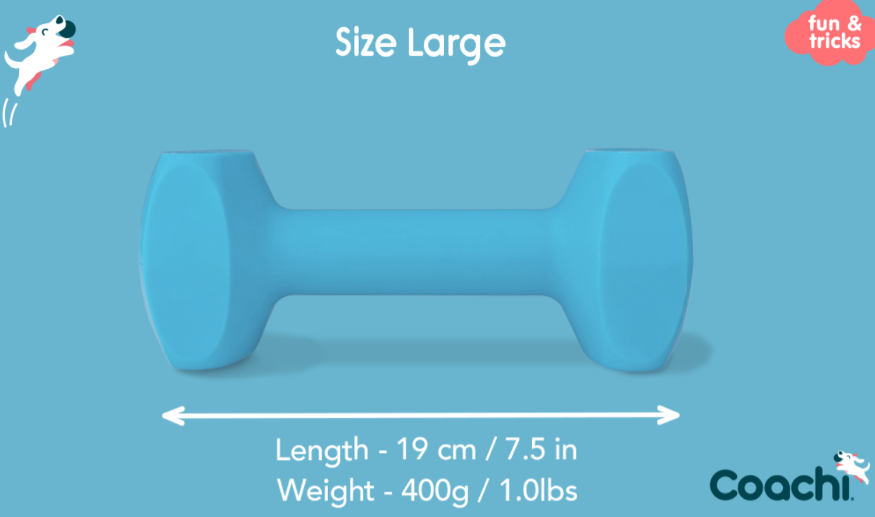 Company of Animals – Coachi – Training Dumbbell