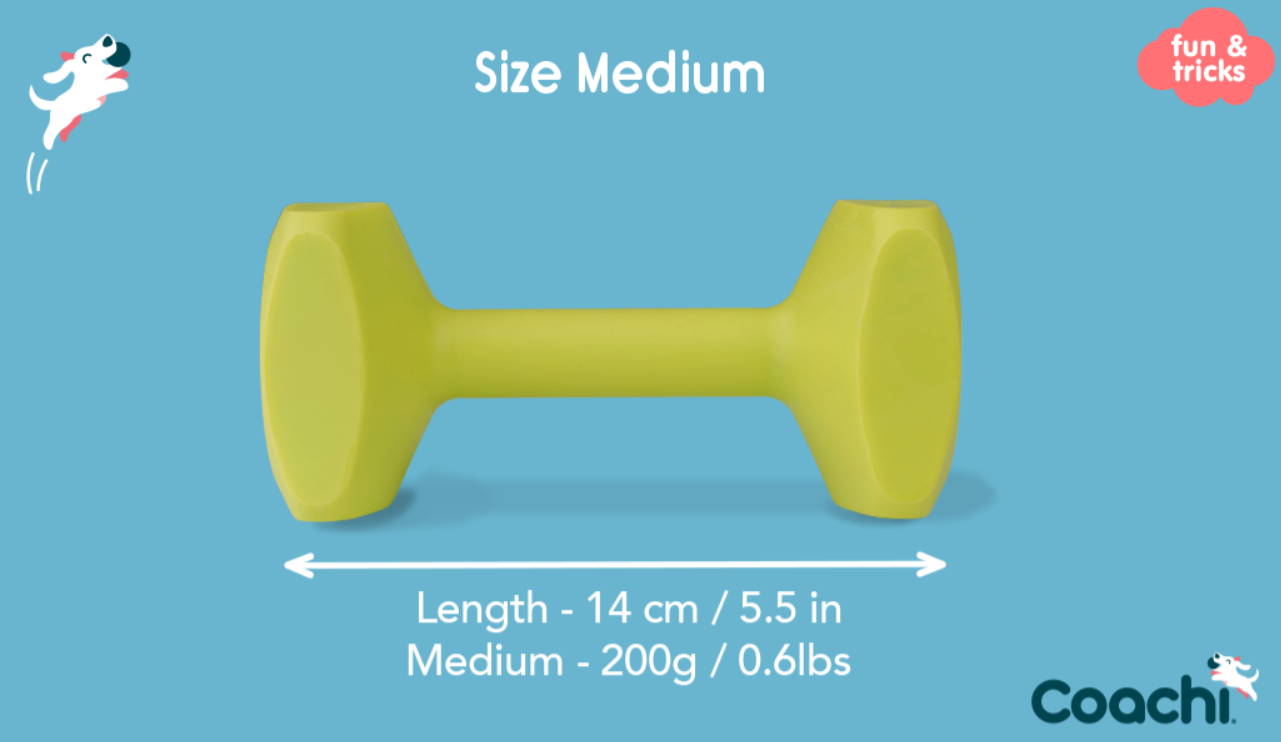 Company of Animals – Coachi – Training Dumbbell