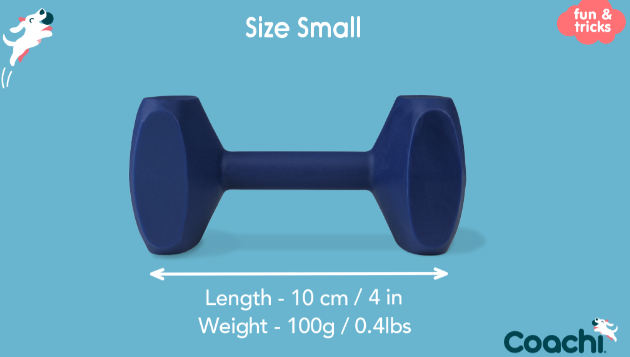 Company of Animals – Coachi – Training Dumbbell