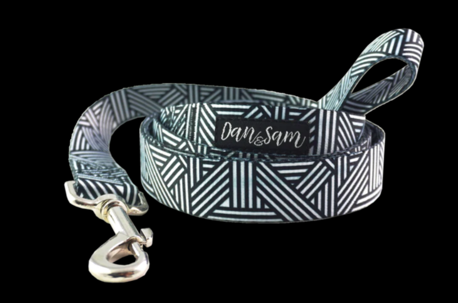 Dan & Sam – Dog Collars & Leads – Abstract