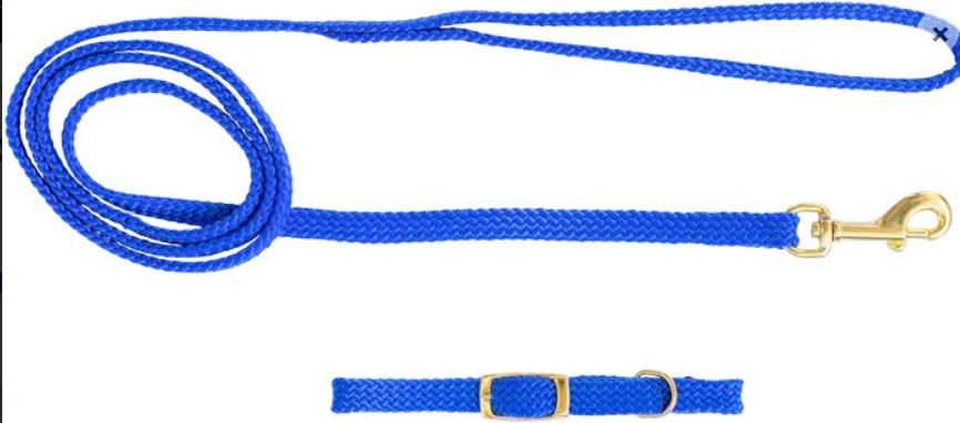 Beau Pets – Puppy – Collar & Lead Set – Nylon