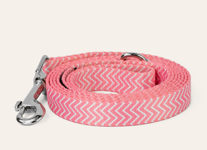 Dan & Sam – Dog Collars & Leads – Candy Floss