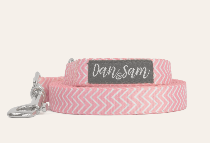Dan & Sam – Dog Collars & Leads – Candy Floss