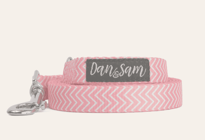 Dan & Sam – Dog Collars & Leads – Candy Floss