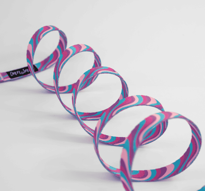 Dan & Sam – Dog Collar's & Leads – Disco Party..