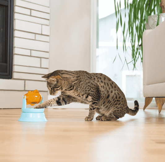 Catstages 2In1 Topper Spin Fish Bowl