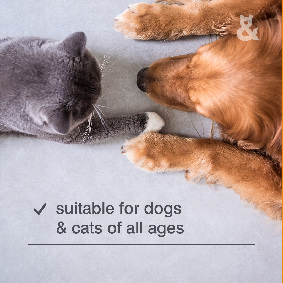 Rufus & Coco Self Cleaning Slicker Brush