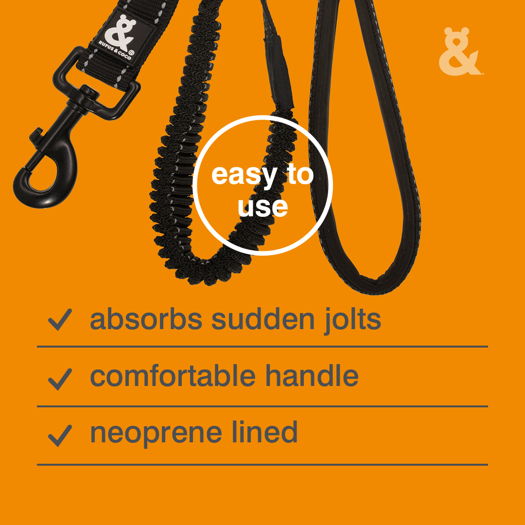 Rufus & Coco Shock Ease Lead