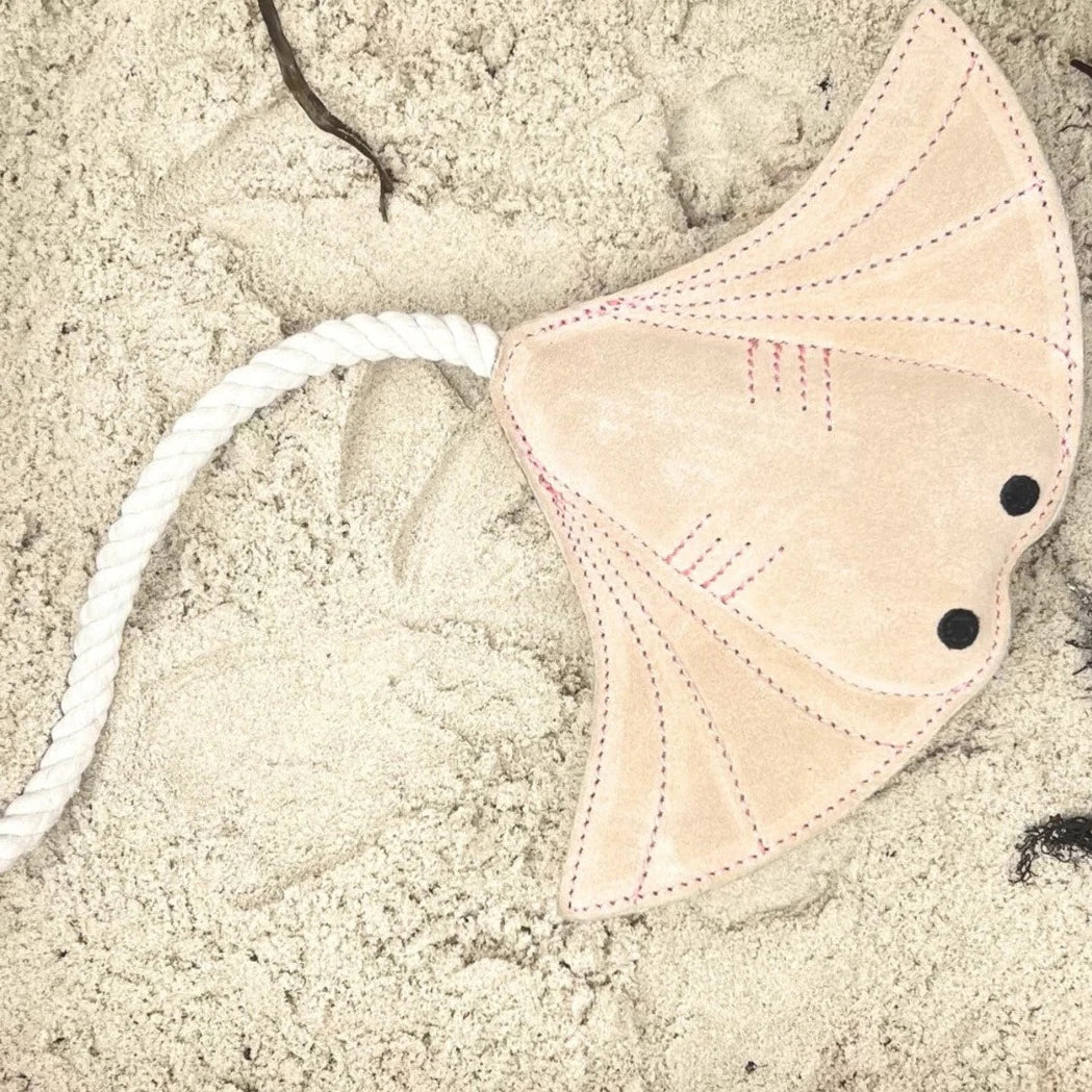 Georgie Paws – Simon the Stingray