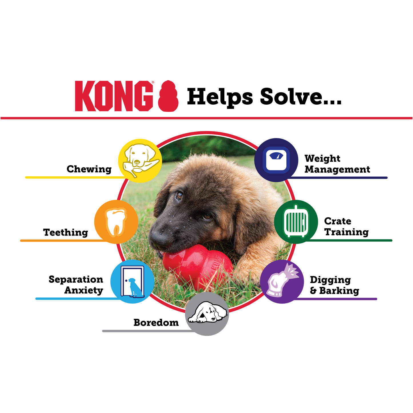 KONG - Extreme Black
