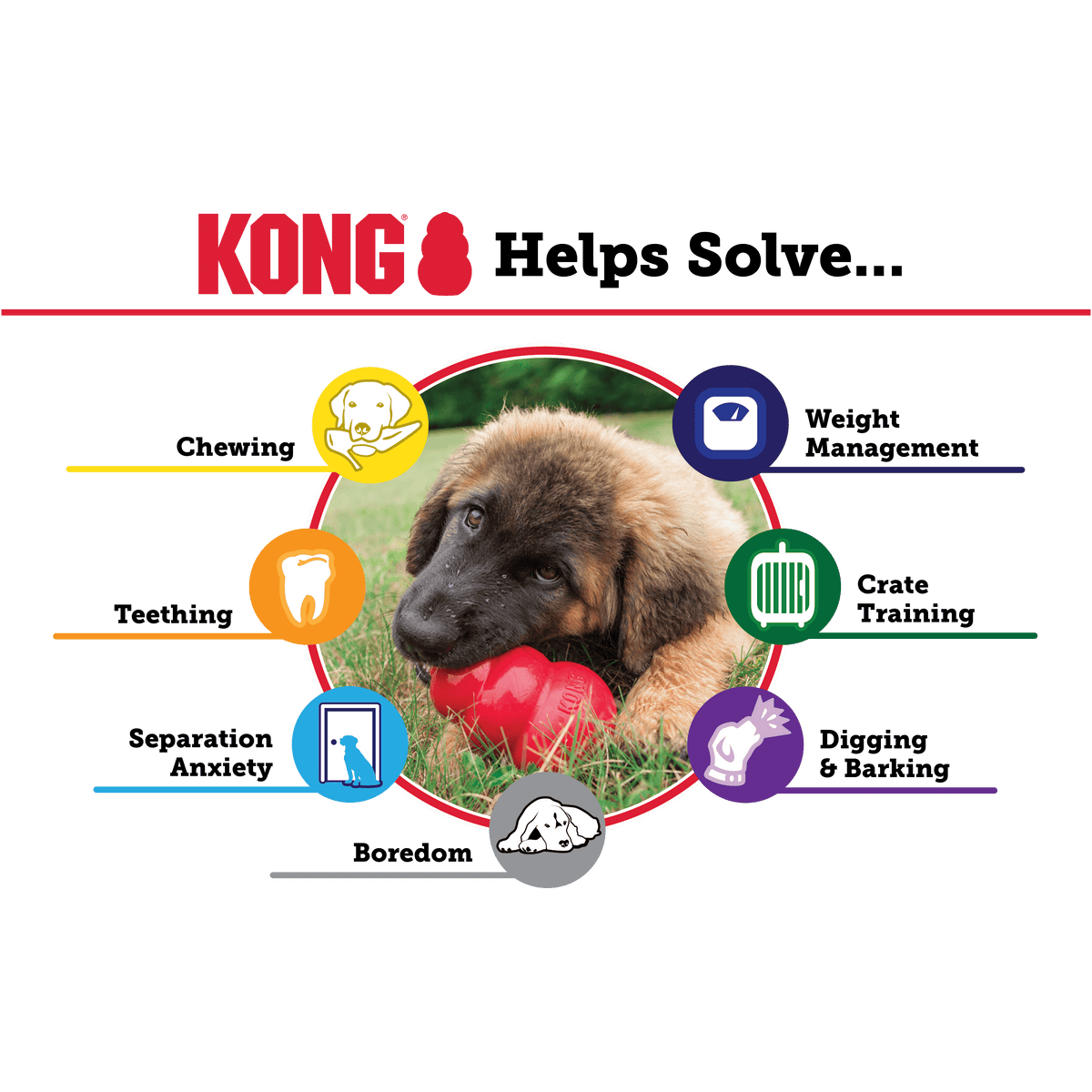 KONG - Extreme Black