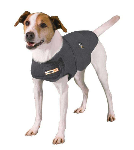 Thundershirt For Dogs