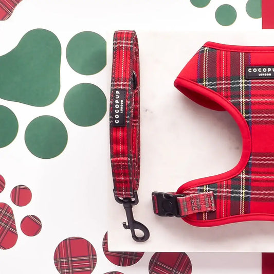 Cocopup London – Dog Lead – Tartan