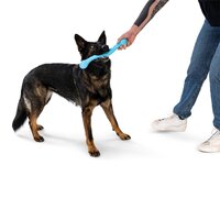 West Paw Zwig Tug & Fetch Stick Dog Toy