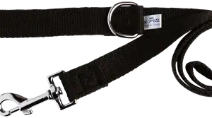 Webbing Dog Lead – 25 mm Nylon with Chrome Hardware