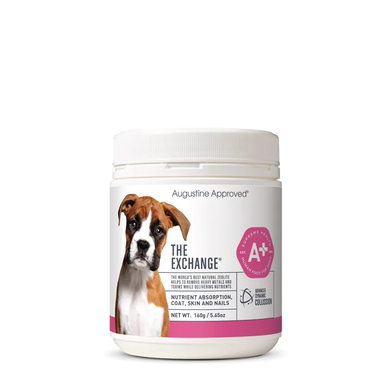 Augustine Approved The Exchange (Canine)