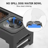 All Fur You Raised Food Stand Slow Feeder - Assorted - A smarter way to feed your growing dog