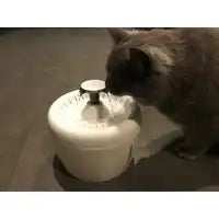 All Fur You Whisper Water Fountain - It dispenses water quietly, so pets can keep hydrated and humans stay happy.