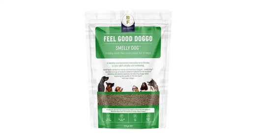 Feel Good Doggo Smelly Dog