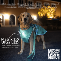 Max & Molly Matrix 2.0 Ultra Led - Safety Light