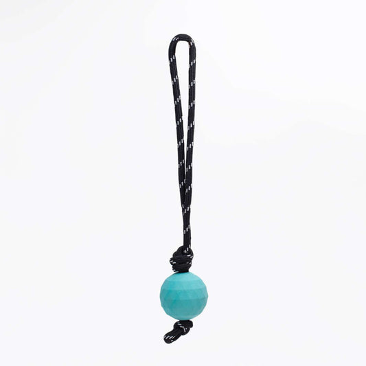 Zippy Paws ZippyTuff Waggle RopeTugz Babble Ball with Unpredictable Bounce