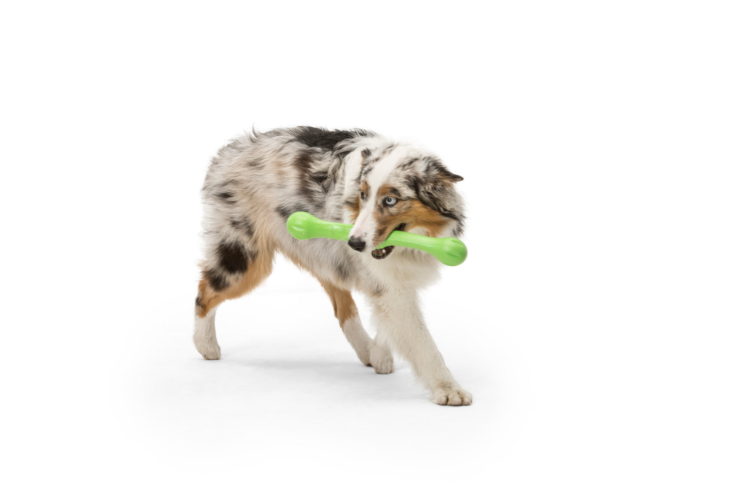 West Paw Zwig Tug & Fetch Stick Dog Toy